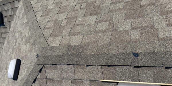 Don’t Replace Your Shingles