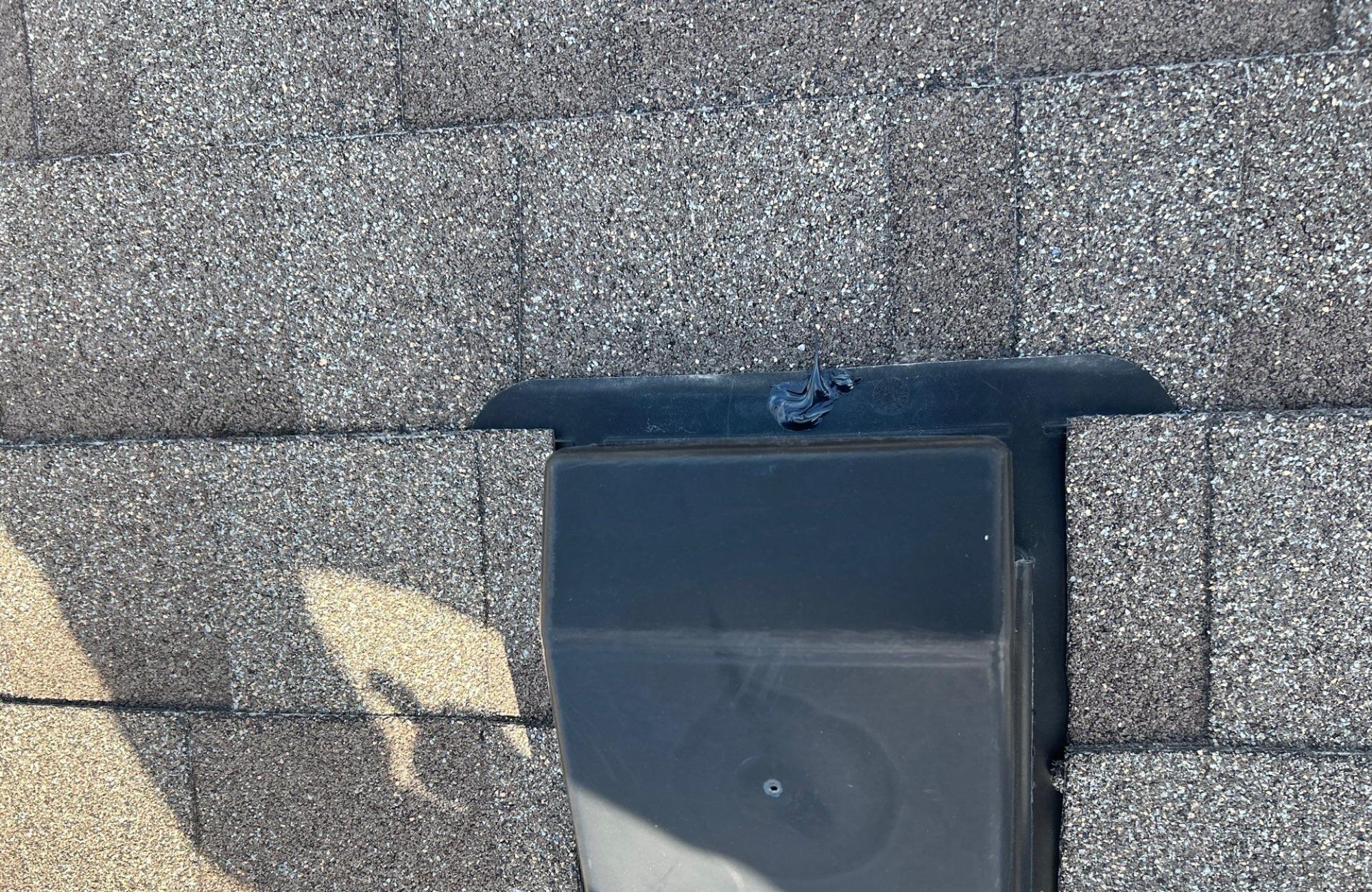 revived roof