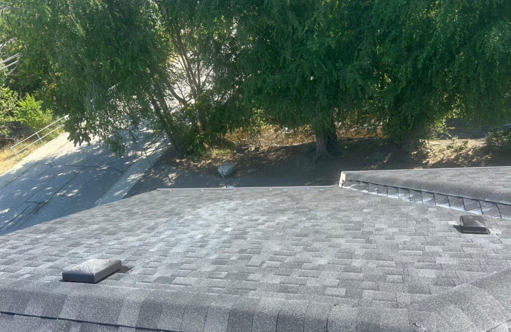 roof clean kelowna