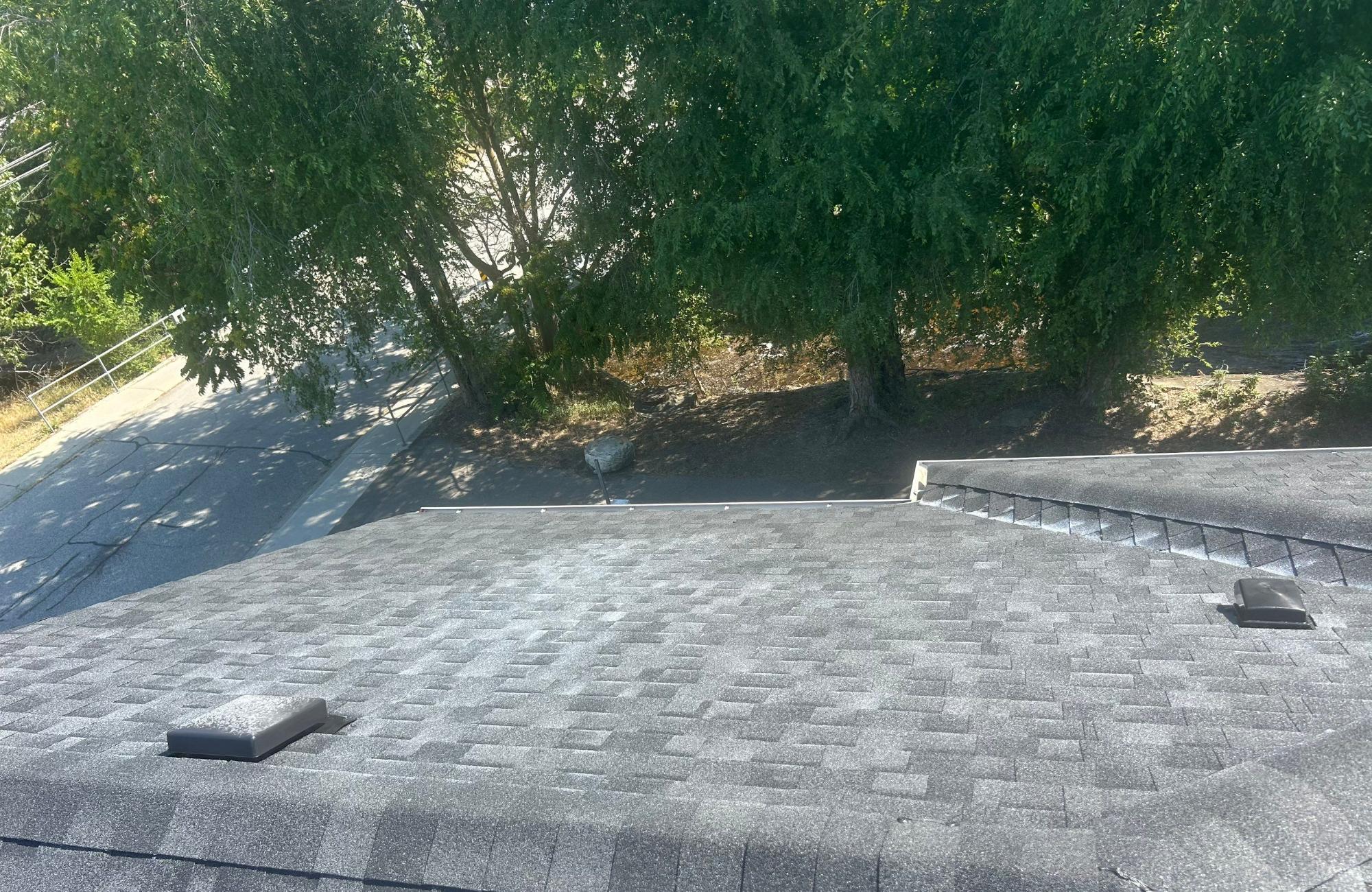 roof clean kelowna
