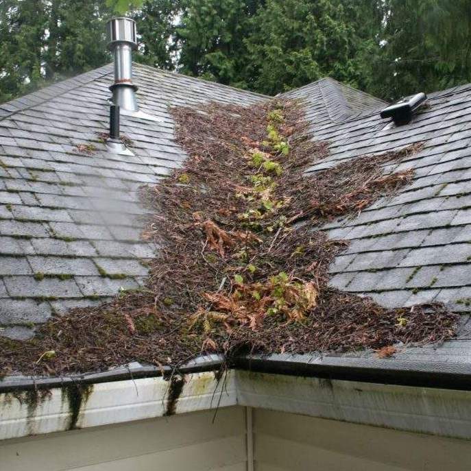 dangerous debris on roof