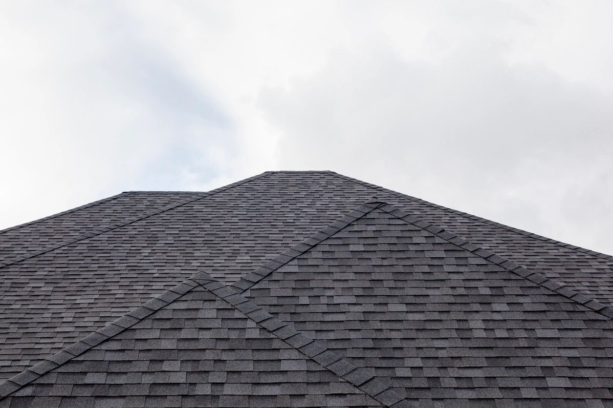 rejuvenated roof shingles