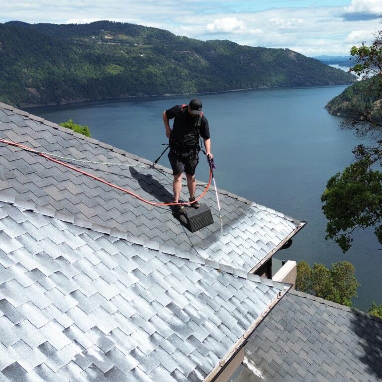 roof rejuvenation services in BC