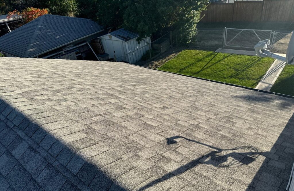 damage on roofs shingle