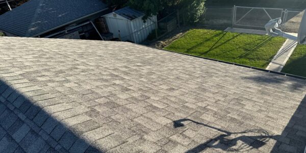 Is It Just a Shingle? When a Small Roof Repair Saves You $10,000